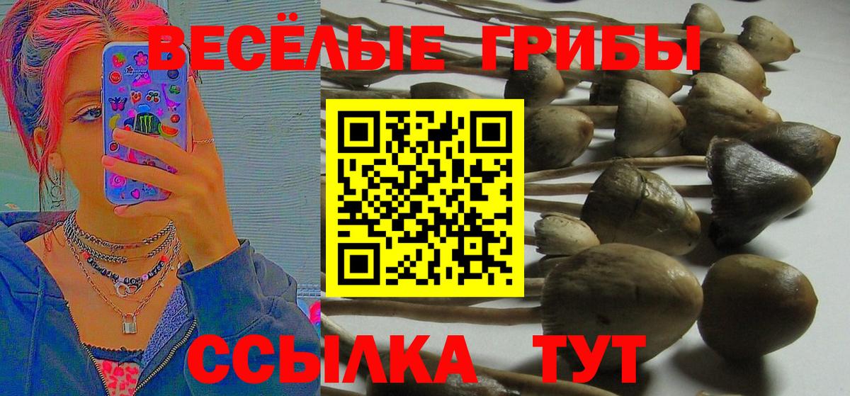 Псилоцибиновые грибы мухоморы Похвистнево