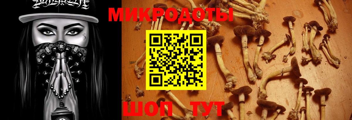 Галлюциногенные грибы MAGIC MUSHROOMS  закладка  Похвистнево  Вход с VPN 